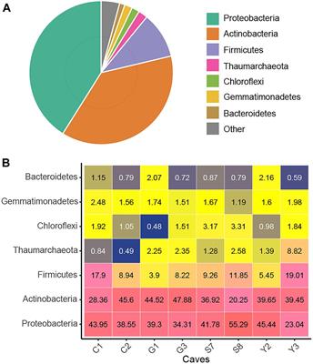 Diversity, Distribution and Co-occurrence Patterns of Bacterial Communities in a Karst Cave System